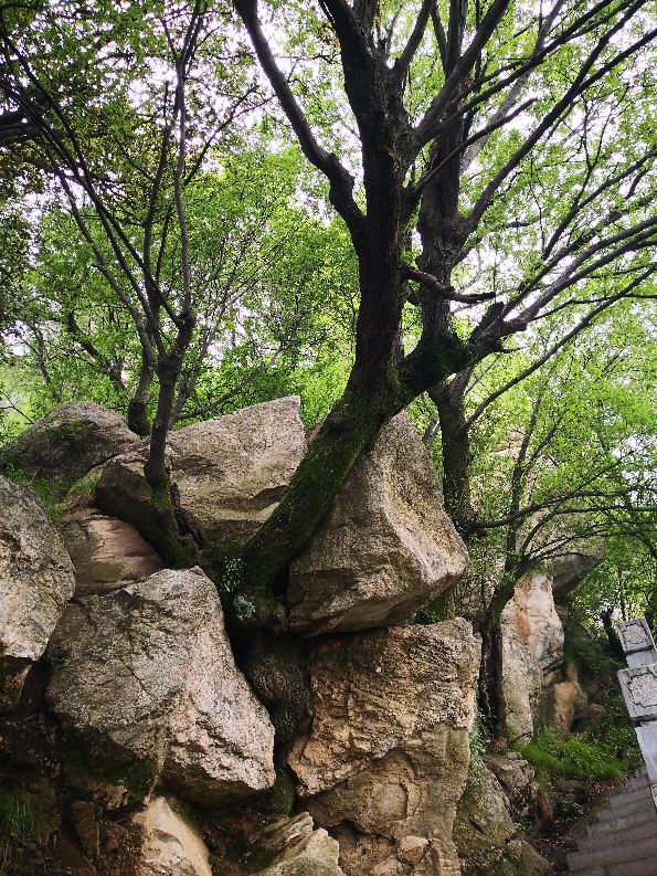 徒步终南山南五台,秦岭终南山南五台