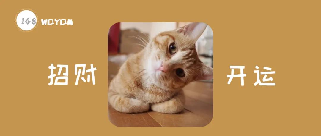 “猫咪胡子掉，好事要发生？”不要太盲目，也可能是疾病导致