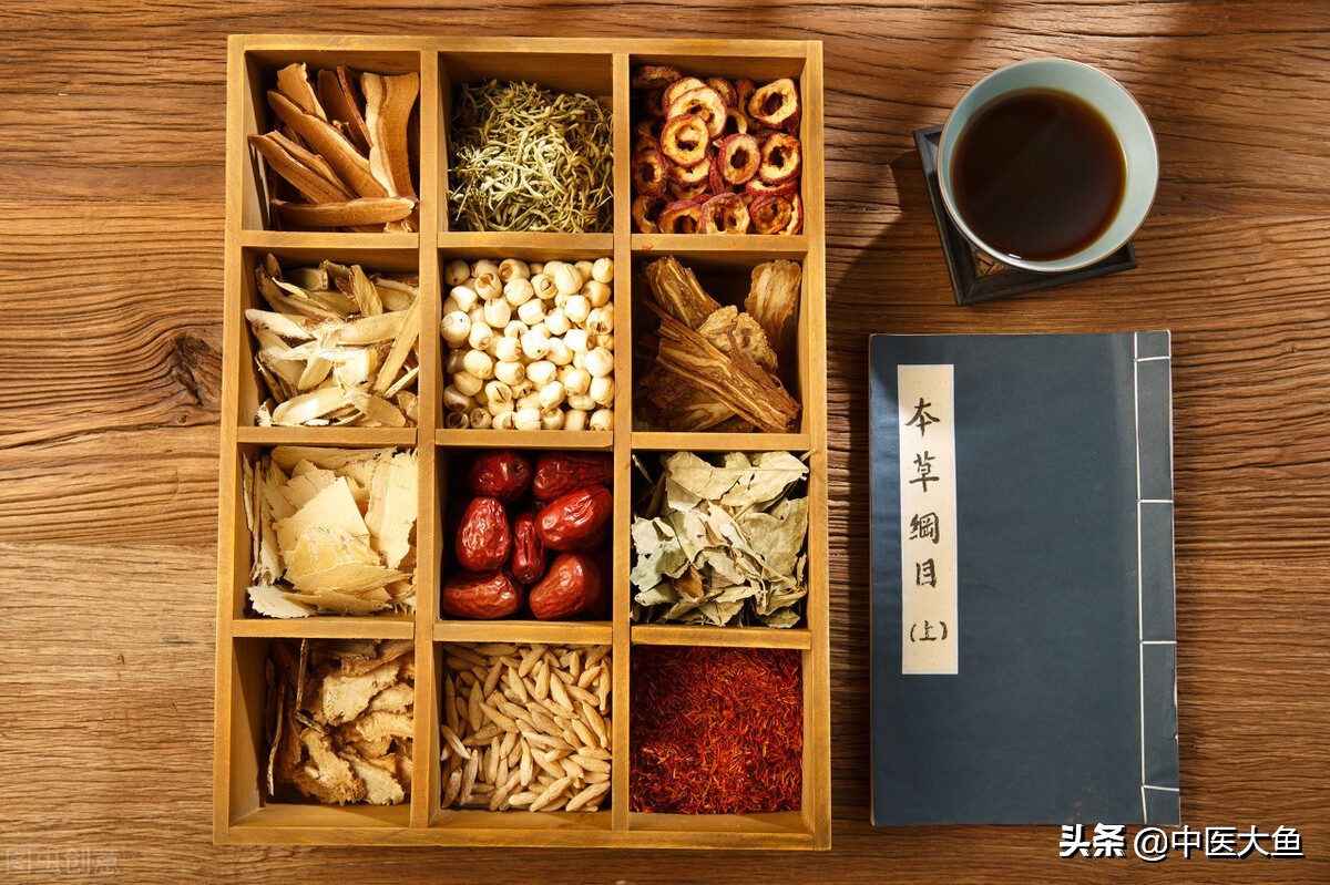 张廷模中药学讲稿白扁豆,张廷模中药学讲稿45集