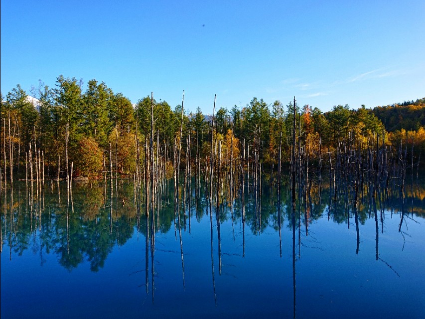 北海道登别到美瑛町需多久,日本北海道美瑛川的雪景