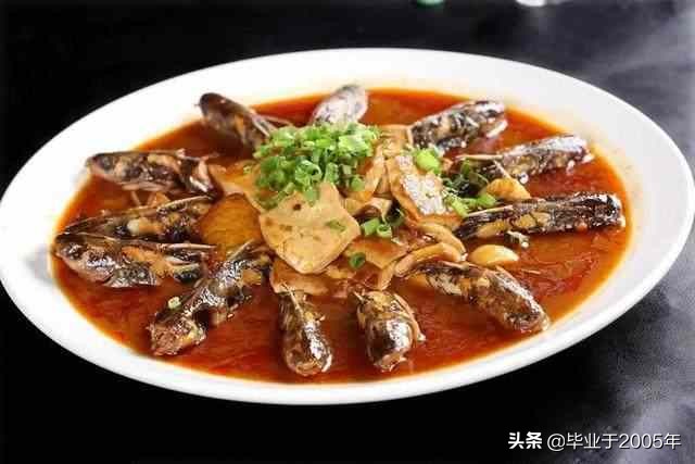 大连近海常见鱼类图鉴,大连哪里可以垂钓淡水鱼