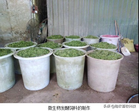 鸡鸭价格低迷销售困难怎么办？这几招来解困