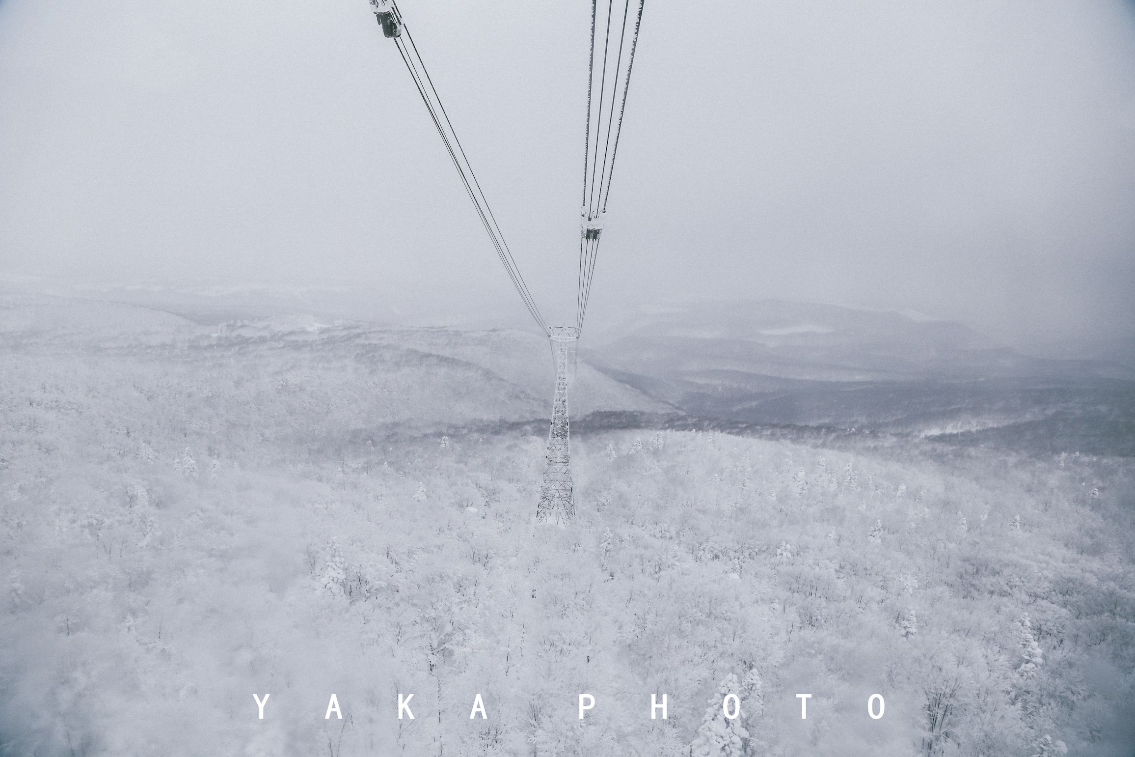 日本青森睡魔祭举办时间,日本的青森值得去么