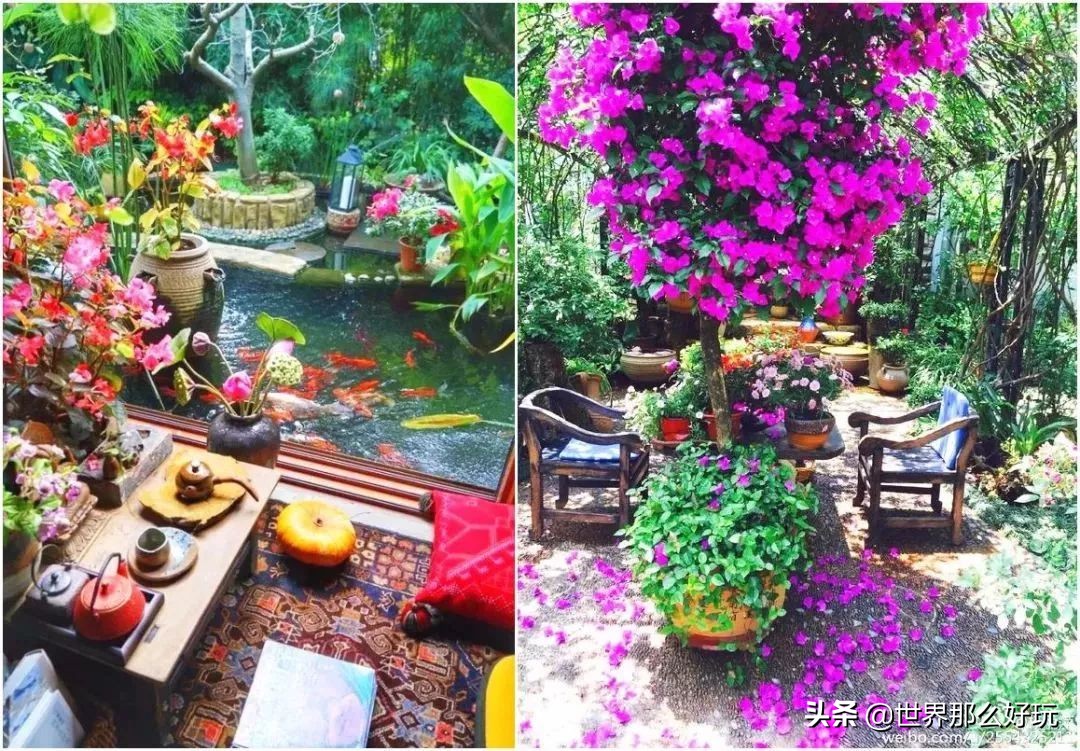 洱海杨丽萍月亮宫违章建筑,大理洱海月亮宫拆除