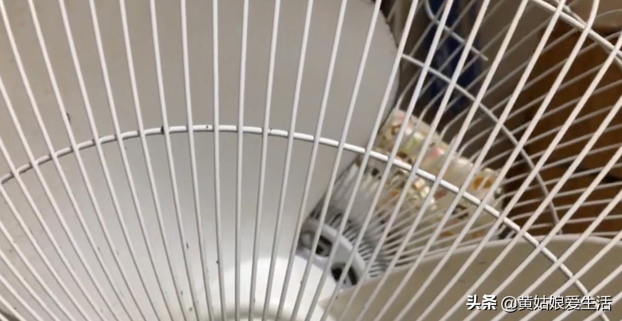 风扇上面的灰尘怎么快速清理掉,雷神911pro拆机清理风扇灰尘教程