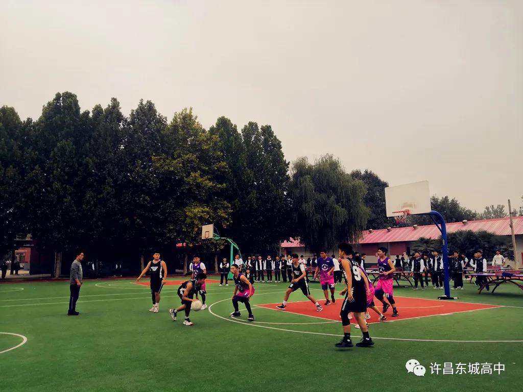 青春梦飞扬篮球比赛视频,正青春梦飞扬大泽山