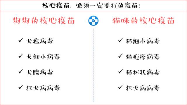 狗狗打完疫苗多久可以打狂犬疫苗,狗狗第三针疫苗打完后多久能出门