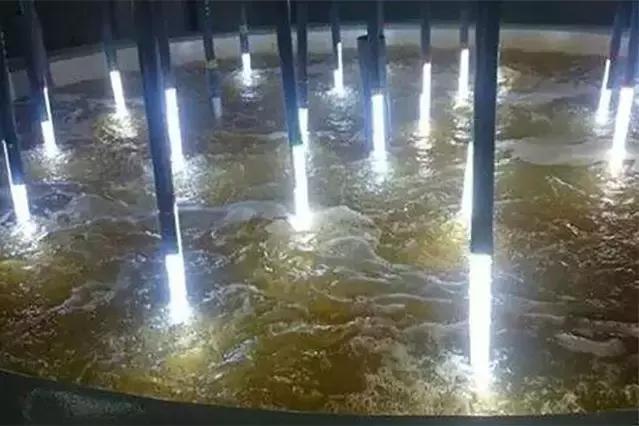 养南美白对虾水有农药了怎么解毒,大棚养南美白对虾的利润与成本