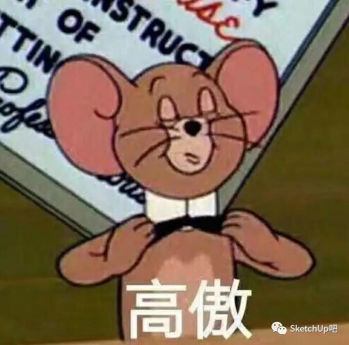 甲方：用SU把这堆盒子拆开，我要看背面