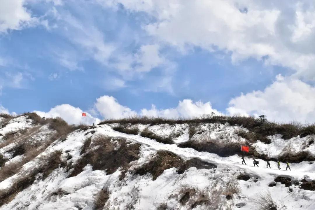 我肚子里有虫子吃什么药,忽然发现肚子里有一个虫子