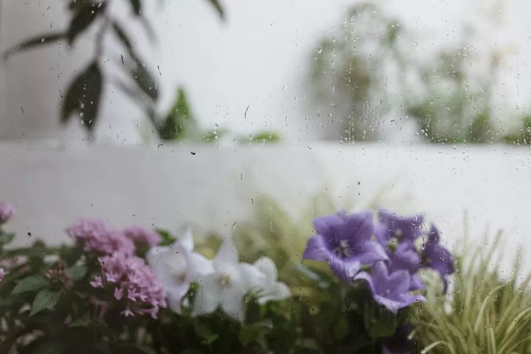 2024年上海二手学区房,上海二手学区房