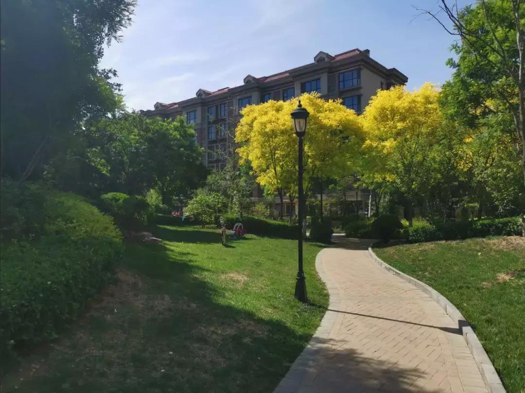 关于龙湾城片区院长这么说，附带优质社区踩盘，你们猜猜是哪里？