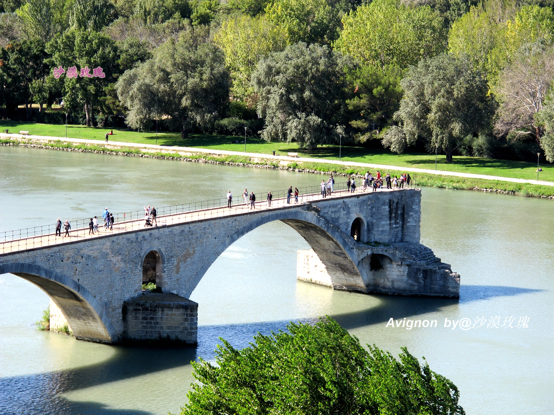 普罗旺斯有浪漫的薰衣草,普罗旺斯未开的熏衣草