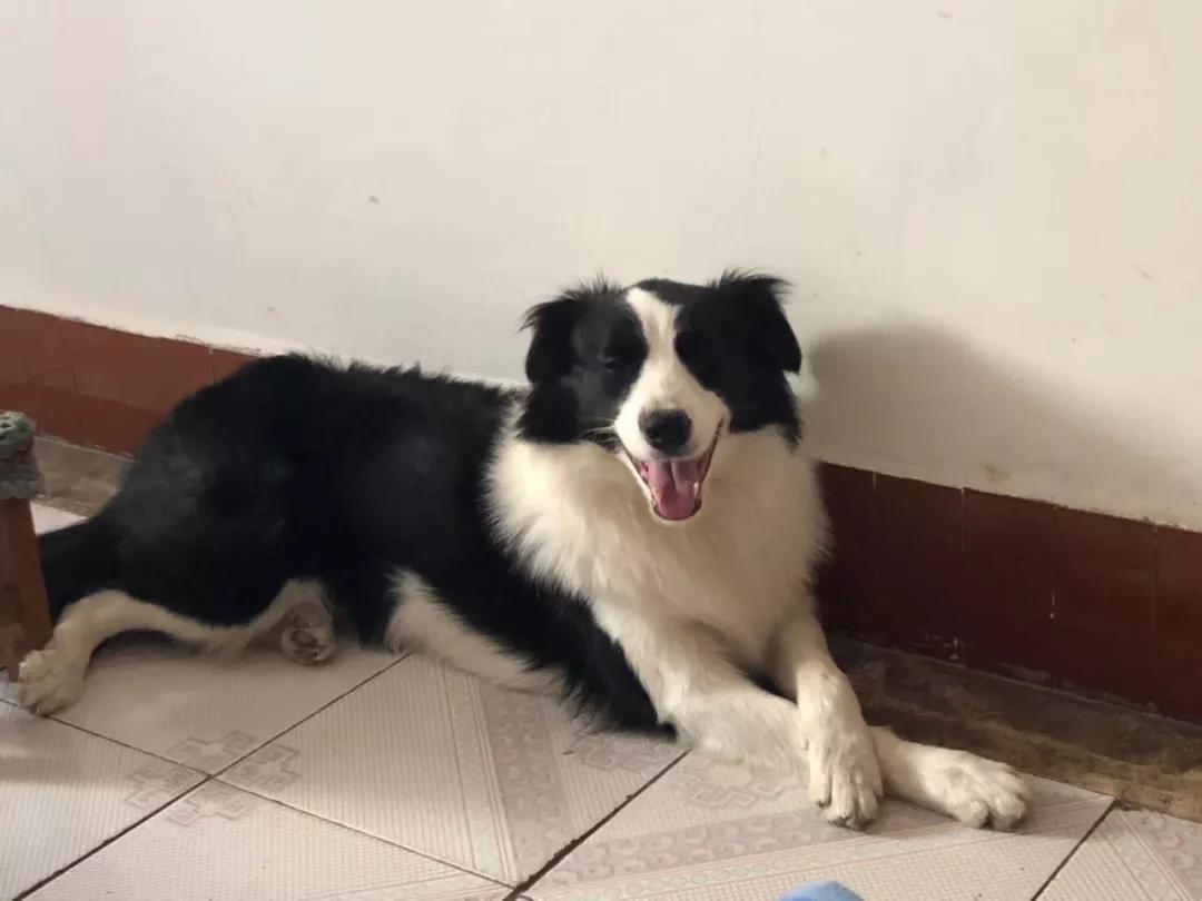 月薪多少才能在西安体面的活着,如果你在西安没有收入