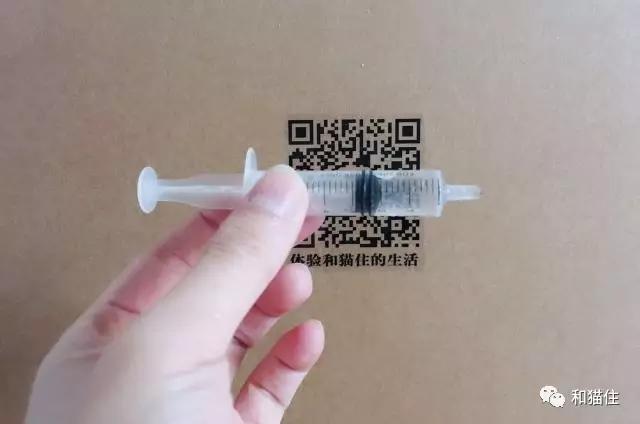 猫咪呕吐拉稀去医院治疗没有好转,猫咪呕吐不要着急