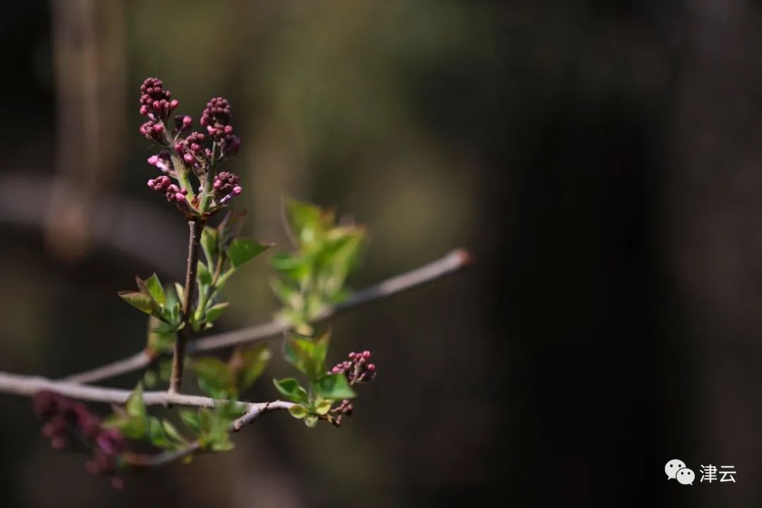 天津东疆港亲海公园今天开放吗,天津即将完工的公园