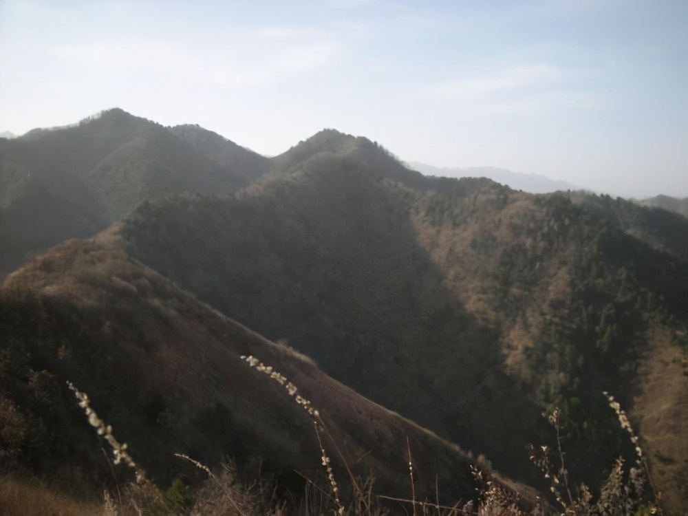 长虫山讲的什么故事,关于长虫山的故事简短