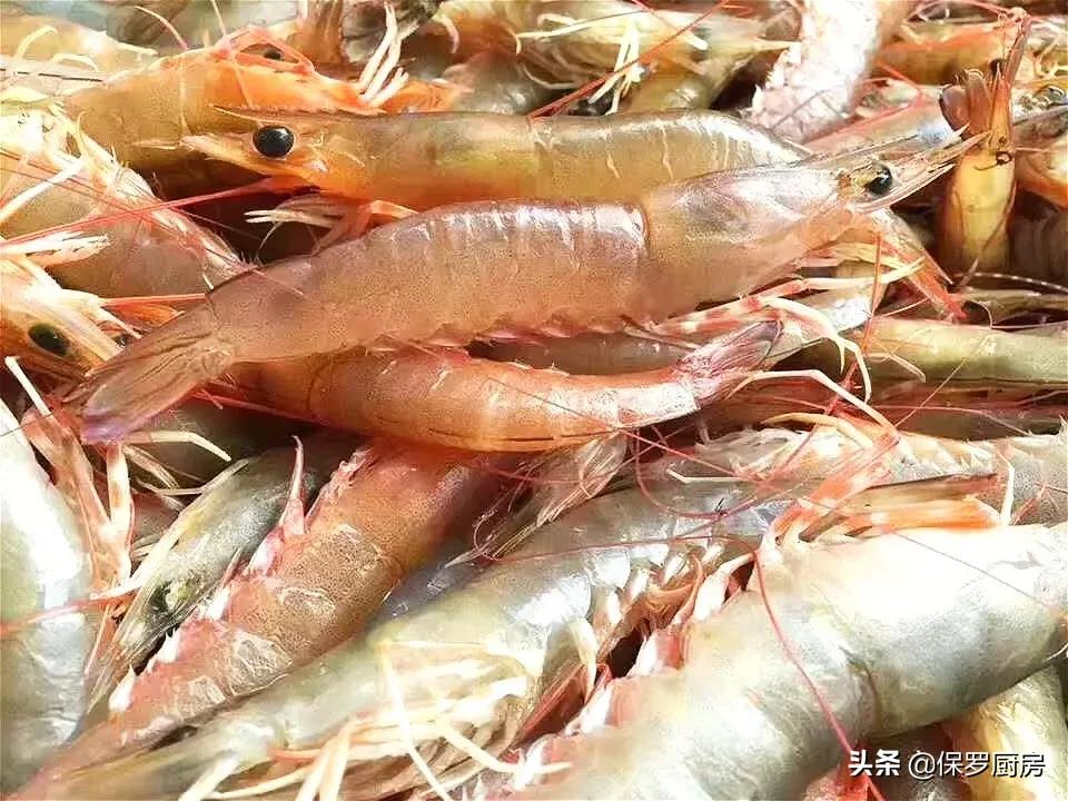 海鲜大荟萃,常见贝壳类海鲜