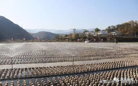 2018商洛市重大项目观摩排名出炉,2018年商洛市重大项目