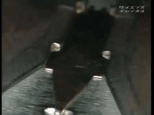 百乐capless钢笔获奖,百乐钢笔74和742的区别