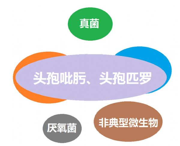 看图“话”抗菌谱，赶紧收藏