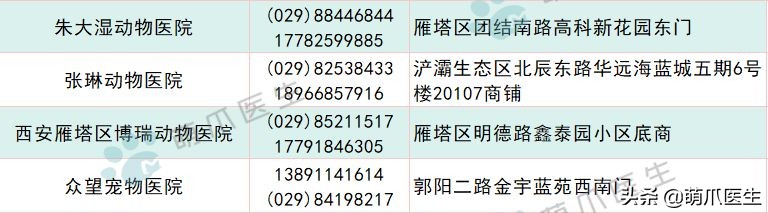 求良心靠谱的宠物医院,真正平民的宠物医院