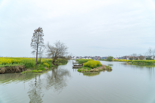 踏春赏花拍美景,踏春赏花逛湖