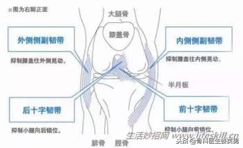 抖音推荐治疗膝关节的药是真的吗,膝关节锻炼之磨鹰爪