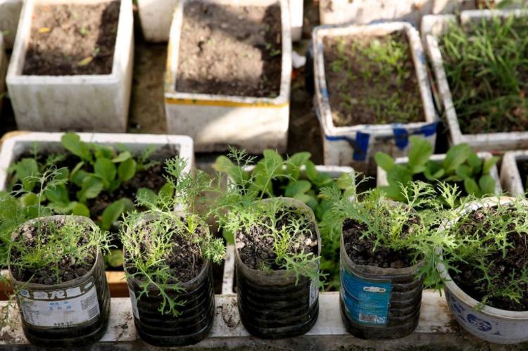 家用塑料桶怎么改花盆,塑料桶怎么做花盆架子视频教程