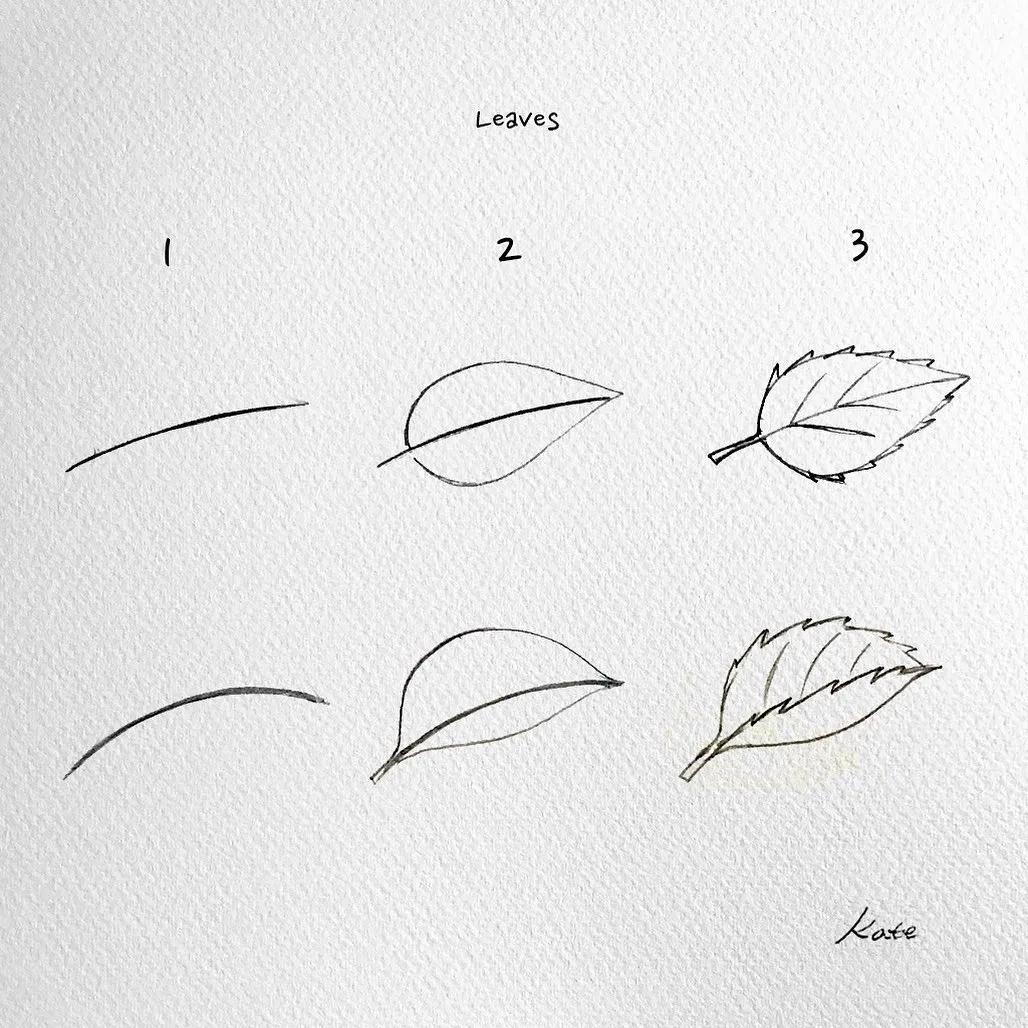 一分钟教你简单画花,简单的花卉图教程