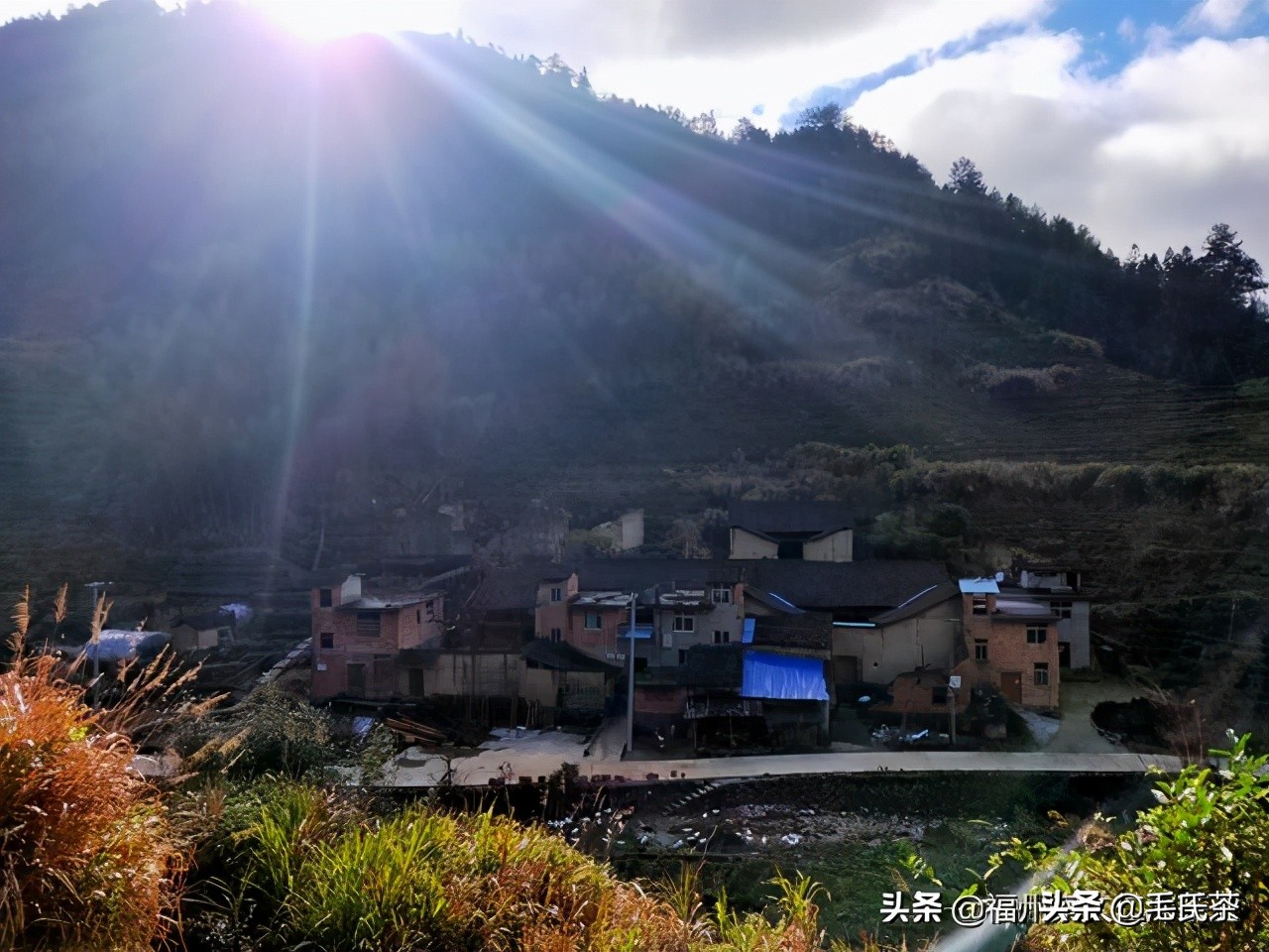 7.毛强生‖一杯会说话，有故事，人人喝得懂的茶（创业者自述）