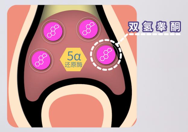 张建忠治疗脱发,皮肤科专家张建