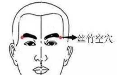 五脏六腑争吵,五脏六腑受到创伤会怎么样