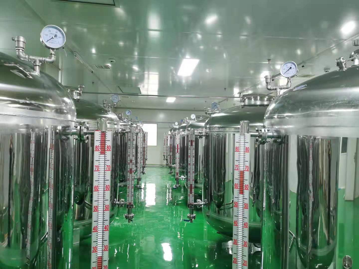 乳酸菌的研究及应用,乳酸菌抗氧化研究