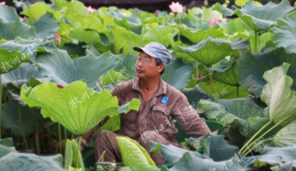 凌晨5点多的西湖,凌晨三点西湖排长队