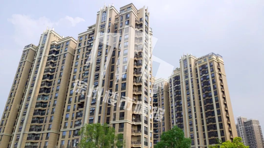 半年涨了几十万！这个小区业主真幸福