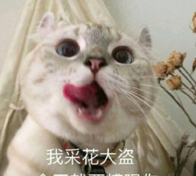 历史上的采花大盗有哪些,历史上采花大盗的故事