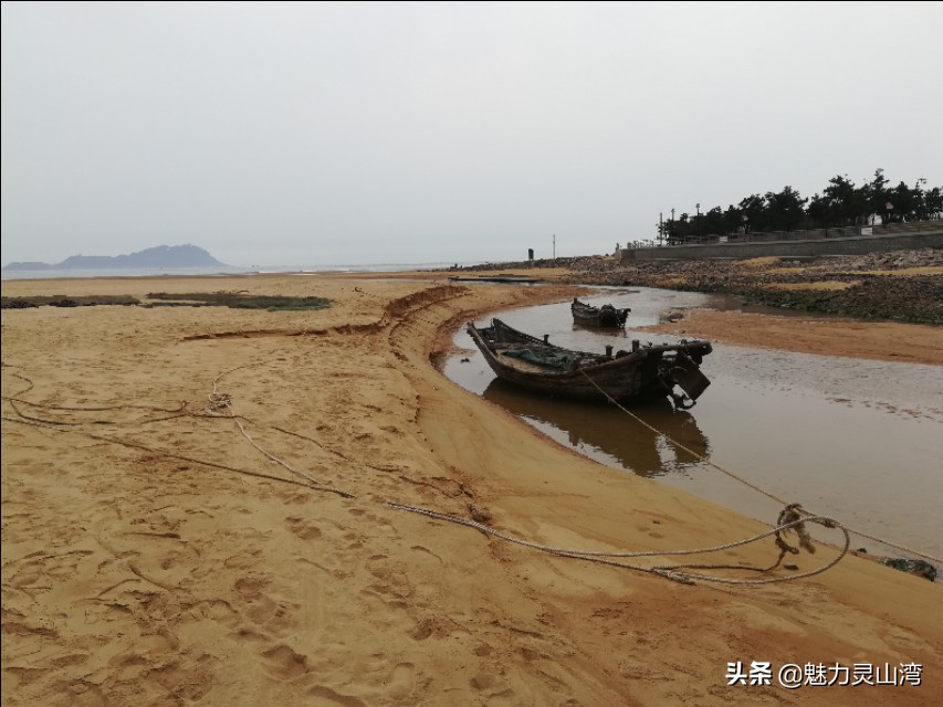 青岛大叔赶海全集,赶海大叔抓海鲜视频