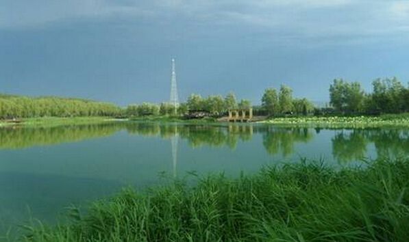 夏钓鲫鱼小鱼闹窝的最有效的方法,夏天小奶鲫怎么钓最好