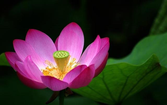 命苦的人只能拼命去干,一个真正命苦的人会有的习惯