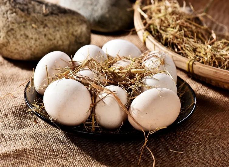 2023央视315晚会曝光名单,315晚会曝光名单大汇总后续