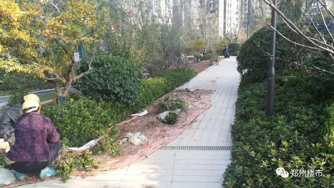 管南最值得买的楼盘有哪些,管南神盘