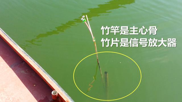 草鱼窝料水库,夏季专攻草鱼的窝料