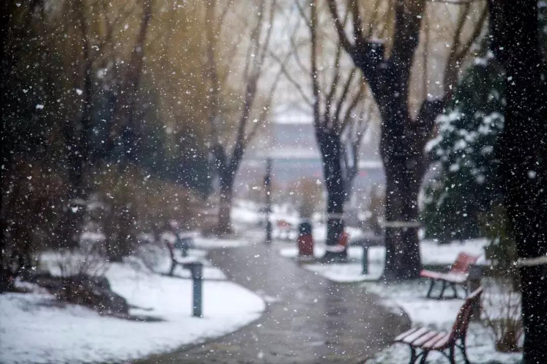 我省大部出现小雪或雨夹雪,今有雨夹雪最低气温