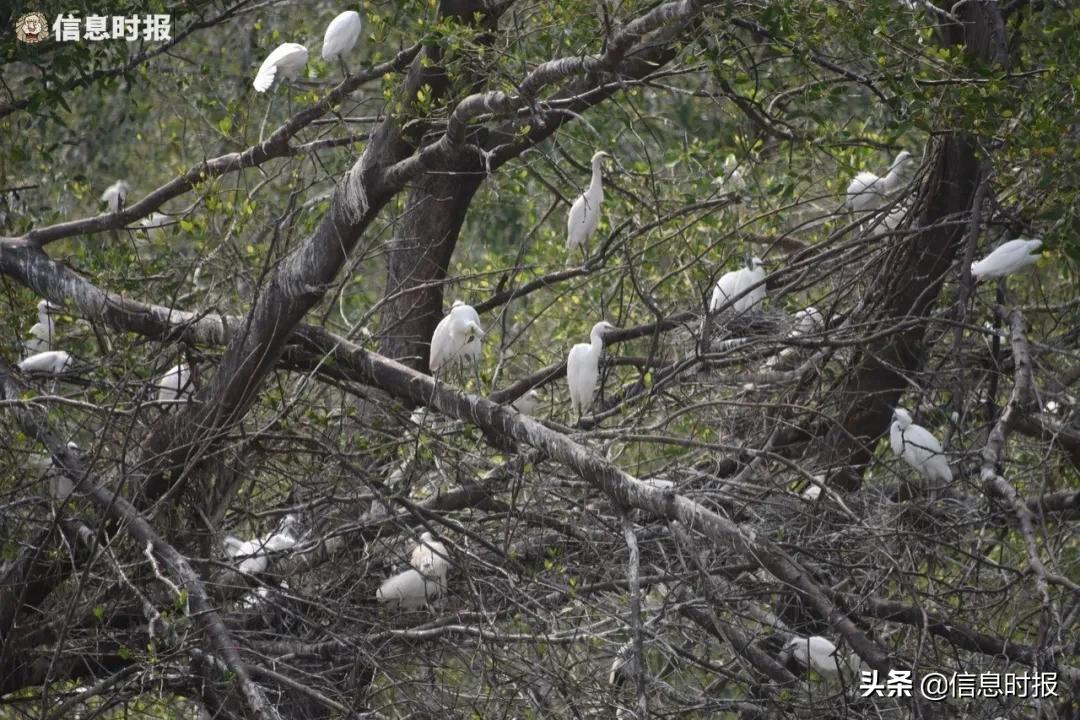 五一去广州旅游攻略路线,五一从广州出发去哪里好玩