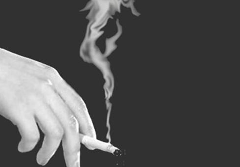 两个多月的比熊关围栏里养好吗,新手养比熊买公的好还是母的好