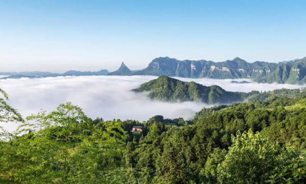 重庆避暑凉快的地方,重庆人都去贵州哪里避暑最好