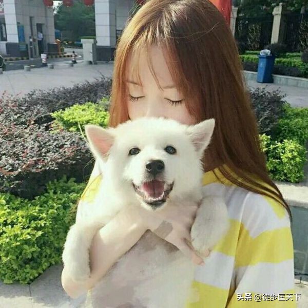 我的漂亮女房东全集,漂亮的女房东电影