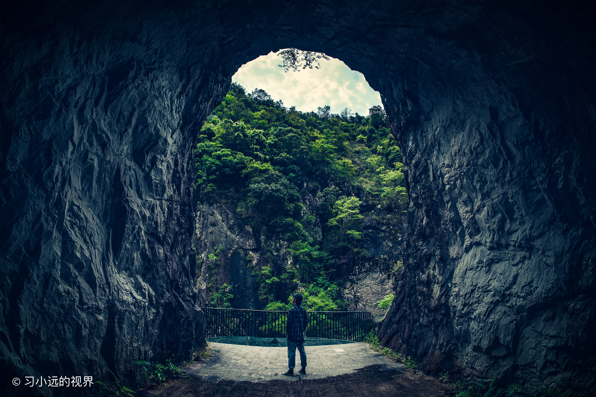永嘉书院里有书,永嘉书院全部照片