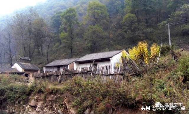 关于野猪的俗语,野猪的俗语